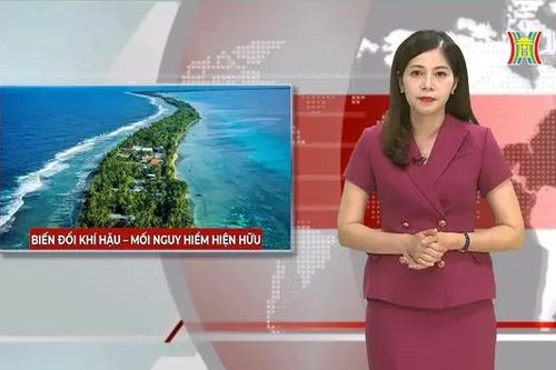 Biến đổi khí hậu - mối nguy hiểm hiện hữu | Nhìn ra thế giới | 15/10/2024