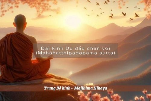 Quán sát trí tuệ với Tứ đại, an trú tâm 'xả'