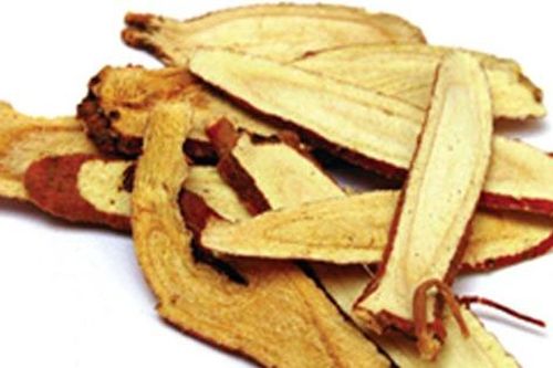 7 vị thuốc tiêu biểu giúp giảm ho trong mùa thu