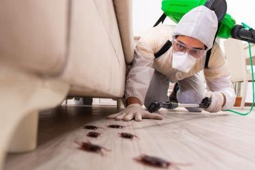 Danh mục chế phẩm diệt côn trùng, diệt khuẩn dùng trong lĩnh vực gia dụng và y tế đã được xác định mã số HS