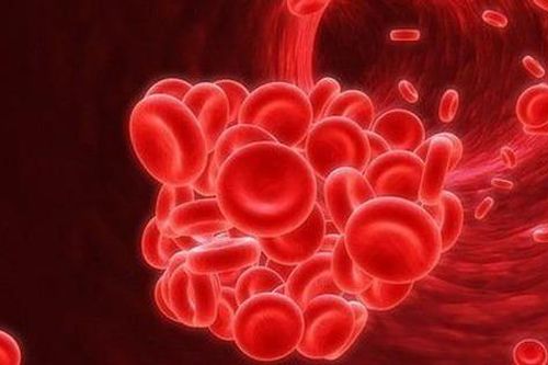 Thuốc mới chữa bệnh máu khó đông