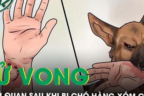 Tử vong do chủ quan sau khi bị chó hàng xóm cắn
