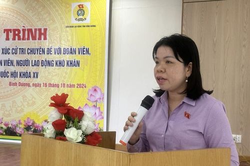 Đại biểu Quốc hội tiếp xúc cử tri Bình Dương trước kỳ họp thứ 8