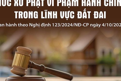 Mức xử phạt vi phạm hành chính trong lĩnh vực đất đai