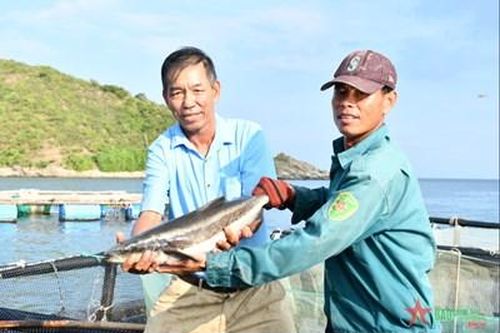 Cựu chiến binh làm giàu nơi Đảo Yến