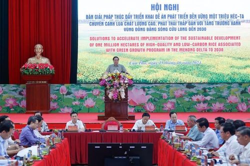 Triển khai Đề án 1 triệu héc-ta lúa chất lượng cao, phát thải thấp