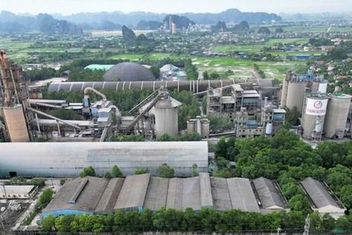 Ninh Bình 'cắt' 38ha rừng tự nhiên cho Nhà máy xi măng Duyên Hà