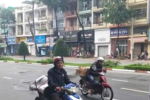 Bắt tạm giam 4 đối tượng chặt cây vì che biển quảng cáo