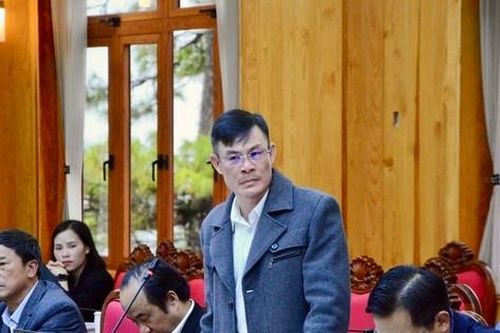 Vụ bò sữa chết hàng loạt ở Lâm Đồng: 129 hộ chấp nhận bồi thường