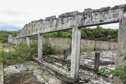 Trung tâm sản xuất giống chăn nuôi 20 tỷ đồng bỏ hoang thành nơi chăn bò