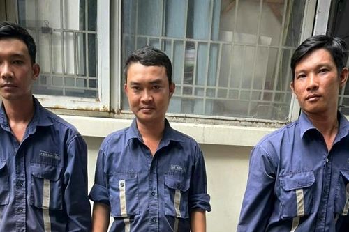 Bắt 4 đối tượng chặt cây trên dải phân cách do 'che bảng quảng cáo công ty'