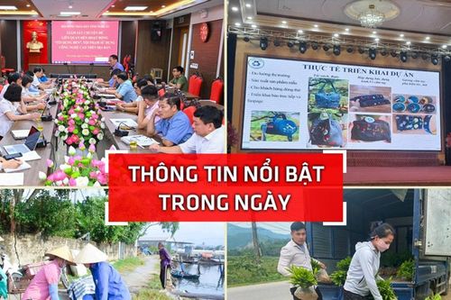 Nghệ An: Thông tin nổi bật ngày 16/10