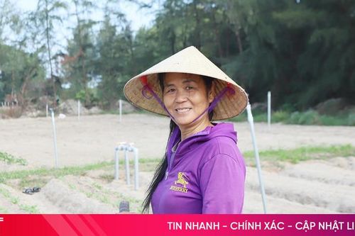 Làng rau vùng biển ngang Thạch Hà tất bật sản xuất phục vụ thị trường Tết