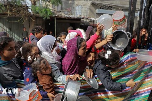 Israel cho phép 50 xe viện trợ nhân đạo vào Bắc Gaza