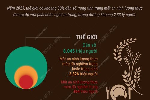 Khoảng 30% dân số thế giới đối mặt với tình trạng mất an ninh lương thực