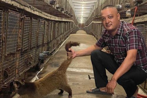 Anh nông dân nuôi con 'phàm ăn, mắn đẻ', mỗi năm đút túi 3 tỷ đồng