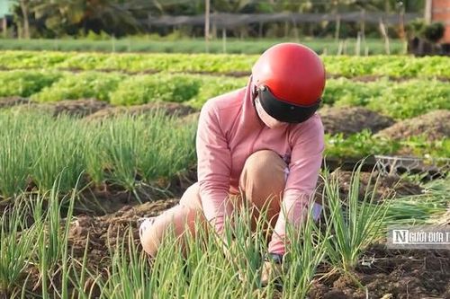 Trí tuệ nhân tạo sẽ là bước tiến mới cho nông nghiệp Việt Nam