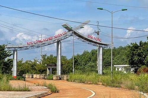 Cựu Giám đốc Sở vắng mặt tại phiên tòa vì có bệnh án tâm thần