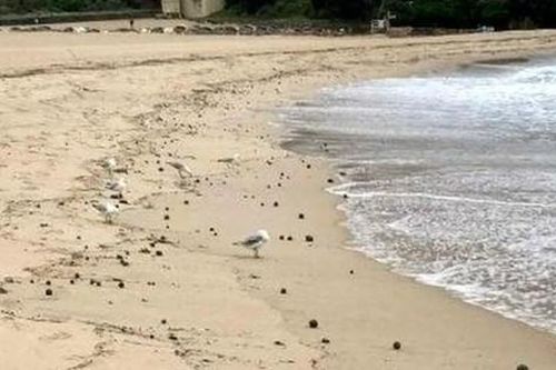 Bãi biển nổi tiếng phải đóng cửa vì phát hiện 'vật thể lạ'
