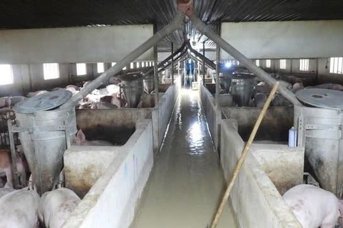 Loạt công ty vi phạm quy định về môi trường ở Tây Ninh bị xử phạt hàng trăm triệu đồng