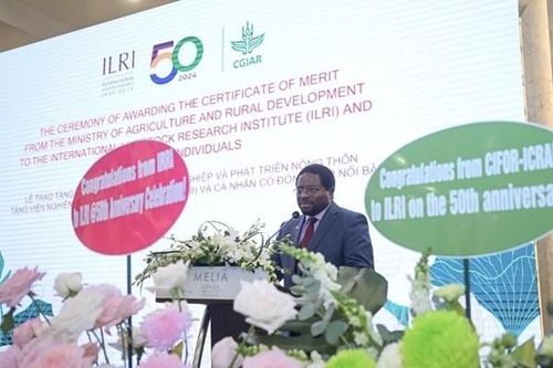 ILRI công bố chiến lược khám phá tiềm năng chăn nuôi bền vững