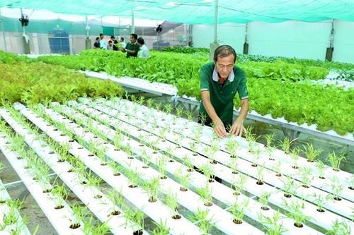 Gắn kết các mắt xích tạo chuỗi giá trị sản phẩm