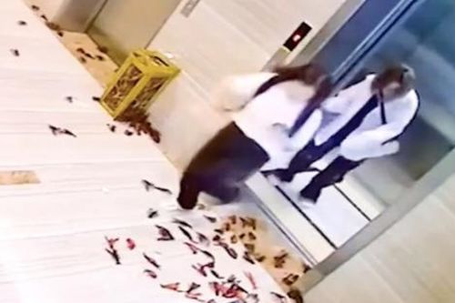 Đến văn phòng làm việc, 2 người phụ nữ tái mặt vì cảnh trước mắt