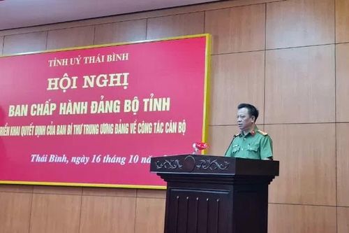 Đại tá Trần Xuân Ánh tham gia Ban Chấp hành Đảng bộ, Ban Thường vụ Tỉnh ủy Thái Bình