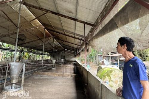 Đồng Nai có 1,7 ngàn cơ sở di dời, ngưng chăn nuôi