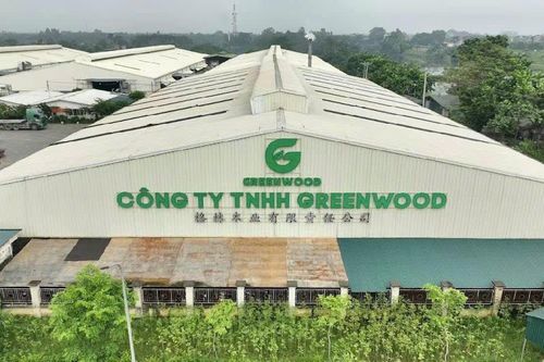 Công ty TNHH GREENWOOD bị xử phạt 140 triệu đồng về lĩnh vực bảo vệ môi trường