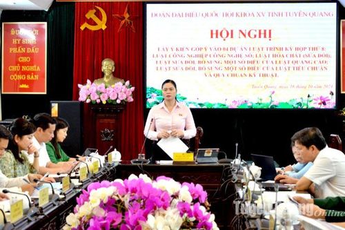 Tiếp tục góp ý vào 4 Dự án Luật trình kỳ họp thứ 8