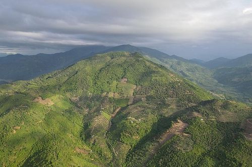 Khánh Hòa: Phát triển giá trị đa dụng của hệ sinh thái rừng đến năm 2030, tầm nhìn đến năm 2050