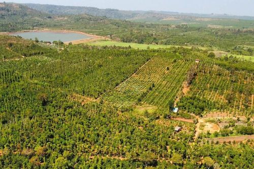 Đắk Nông cho phép xây dựng công trình trên đất nông nghiệp để phục vụ sản xuất