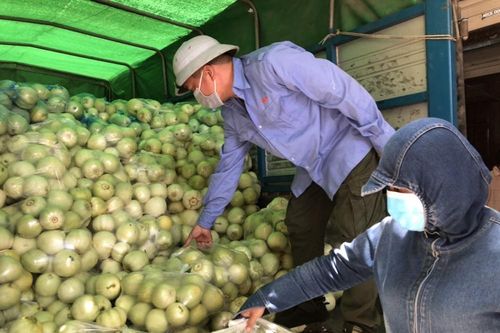 Phá 'điểm nghẽn' trong tiêu thụ nông sản