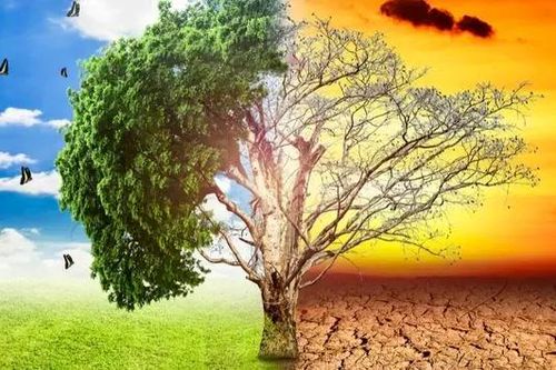 Biến đổi khí hậu - mối đe dọa cấp bách