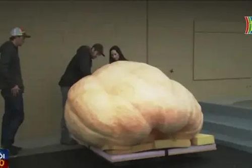 Quả bí ngô 1121kg giành giải nhất giải Bí ngô Thế giới