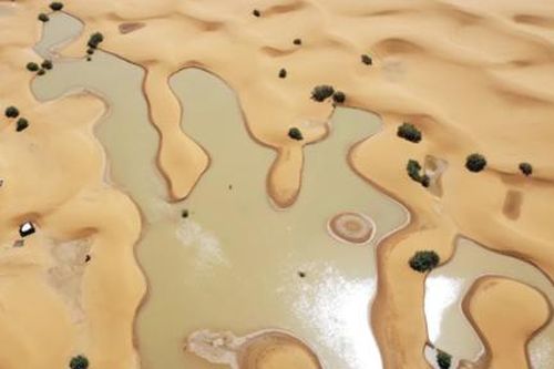 Sa mạc Sahara ngập lụt lần đầu sau nhiều thập kỷ