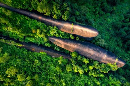 Cận cảnh ba khối đá cá voi 'bơi' giữa rừng xanh 75 triệu năm tuổi ở Thái Lan