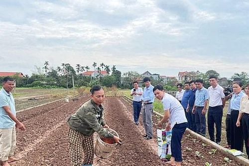 Nỗ lực khắc phục hậu quả của bão số 3