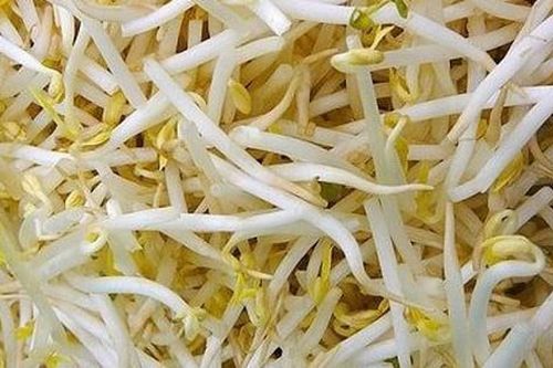 Giá đỗ ngâm hóa chất nguy hiểm như thế nào?