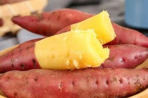 Chế độ ăn cho người bệnh nứt kẽ hậu môn