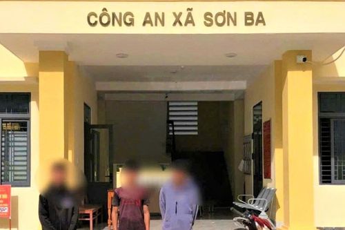 Quảng Ngãi: Liên tiếp phát hiện xử lý nhiều vụ trộm cau của người dân