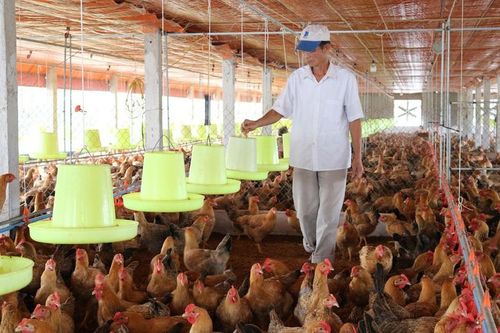 Cục Thú y sẵn sàng cùng các địa phương xây dựng bản đồ dịch tễ