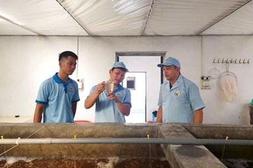 Ban CHQS huyện Đầm Hà, Bộ CHQS tỉnh Quảng Ninh: Tích cực kết nối giới thiệu việc làm cho bộ đội xuất ngũ