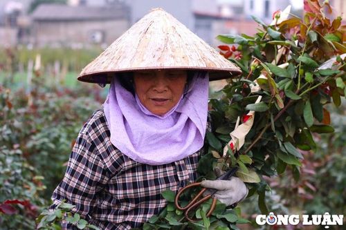 Hà Nội nỗ lực hoàn thành nhiệm vụ xây dựng nông thôn mới