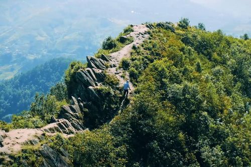'Sống lưng khủng long' đẹp lạ ở Mù Cang Chải, khách đến săn ảnh nghìn like