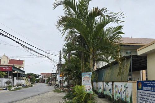 Huyện Quỳnh Lưu phê bình lãnh đạo xã vụ người dân mất nhà, mất đất sau khi đi làm ăn xa về