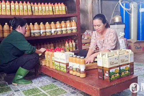 Xây dựng thương hiệu, nâng cao giá trị nông sản Nghệ An