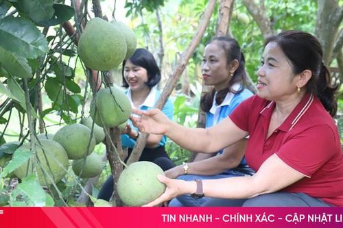 Nữ 'thủ lĩnh' hết lòng vì phong trào chung