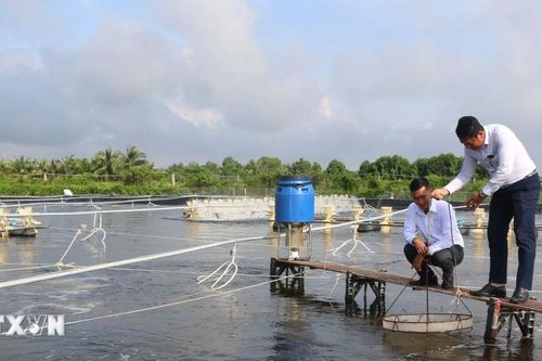 Xây dựng mã số vùng - 'Giấy thông hành' cho sản phẩm nông, thủy sản xuất khẩu